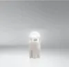 Glühlampe, illuminazione interna OSRAM 2825DWNB-2HFB Anteprima dell’immagine prodotto 10