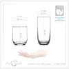 PLATINUX Elegante Trinkgläser aus Glas 240ml & 360ml Set Produktbild-Vorschau 4