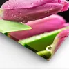 Bild auf Leinwand - Leinwandbild - Tulpe Blumen Tau - Produktbild-Vorschau 5