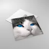 Bilder auf glas - Katze Tiere blaue Augen - 60x60cm - Produktbild-Vorschau 2