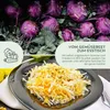 Lila Kohlrabi Samen (Milan Purple, 300 Korn) - Kohlrabi Produktbild-Vorschau 3