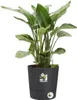 Pot Greensense Aqua Care Rond 43cm Grau Anthrazit - Elho Produktbild-Vorschau 3
