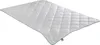 Steppbett Irisette 100 % Wildseide leicht  Größe 155 x 220 Produktbild-Vorschau 1