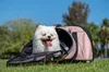 Ibiyaya Ultralight Pro Rucksack für kleine Hunde Katzen Produktbild-Vorschau 13