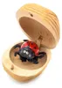 1 Glückskäfer, Marienkäfer aus Holz, Glücksbringer Produktbild-Vorschau 6