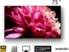 SONY FW-75EZ20L 75-Zoll-Profi-Display für 16/7-Arbeit mit Produktbild-Vorschau 13