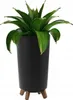 A green plant in a black pot with wooden legs, isolated on a white background. Produktbild-Vorschau