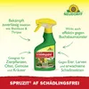 Neudorff Spruzit AF Schädlingsfrei 250ml bekämpft Eier, Produktbild-Vorschau 2
