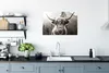 MuchoWow® Poster Schottischer Highlander - Kuh - Tiere - Produktbild-Vorschau 3