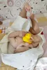 Hygienická koupelová kachna 5 kusů bez otvoru Náhled obrázku produktu 9