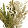 Trockenblumen Strauß Blumen und Gräser Mix 45cm natur grün Produktbild-Vorschau 5