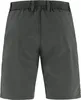 Fjällräven Herren Shorts Grau F12200165-030 Grösse 54 Produktbild-Vorschau 2