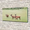 Tulup Glas-Bild -140x70- Wandkunst Dekorative Wand für Produktbild-Vorschau 2