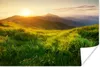 MuchoWow® Poster Gras - Hügel - Sonne - Natur - Landschaft Produktbild-Vorschau 1