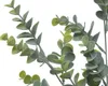 Eukalyptus Zweig künstlich 73cm Produktbild-Vorschau 2