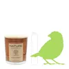 NATURE EARTH, Duftkerze im Glas, Rain Forest, 100% NATURAL Produktbild-Vorschau 4