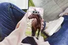 MuchoWow® Handyhülle Schutzhülle Hülle für Samsung Galaxy Produktbild-Vorschau 3