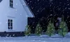 Kleine Weihnachtsbäume 45 cm 4er mit Lichterkette - 10 LED Produktbild-Vorschau 2