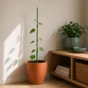 KADAX Bambusowe paliki 90 cm x 6 mm, zestaw 100 sztuk, Podgląd zdjęcia produktu 2