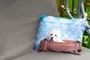 MuchoWow® Outdoor Kissen - Malteser Hund in einer Holzkiste Produktbild-Vorschau 2