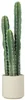 HOMCOM Kunstplant, cactus, groot (95 cm) met pot, geschikt Productafbeelding-voorbeeld 1