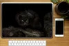 MuchoWow® Laptop Aufkleber Sticker Cover Panther - Wald - Produktbild-Vorschau 2