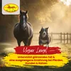 Leinöl Tierfutterzusatz 2 x 5 Liter für Pferde, Hunde & Produktbild-Vorschau 2