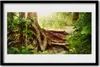 Bild 60x40 MDF-Rahmen Wandkunst Stamm Wald Natur Produktbild-Vorschau 1