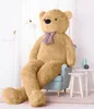 Gustaw Plyšový medvěd velký XXL (béžový, 300 cm) Classico Náhled obrázku produktu 2