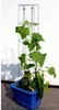 Bellissa Gurkenturm 120cm 120 cm hoch Produktbild-Vorschau 1