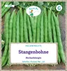 Stangenbohne Neckarkönigin | Stangenbohnensamen von Grüne Produktbild-Vorschau 1