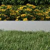 A close-up view of a garden bed with yellow flowers and green foliage, separated by a gray planter box, with green grass in the foreground. Produktbild-Vorschau