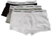 Three Calvin Klein boxer shorts are stacked on top of each other against a white background. Voir les images du produit