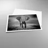 Poster - Poster ohne Rahmen - Elefant Wildnis Natur - Produktbild-Vorschau 3