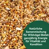 Vogelfutterhaus für Garten und Balkon, flexibel zum Produktbild-Vorschau 4