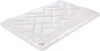 Paradies Winterbettdecke Anela Bio winterwarm Größe 135x200 Produktbild-Vorschau 4