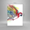 Bilder auf glas - Einteilig - Parrot Flügel Federn Natur - Produktbild-Vorschau 3