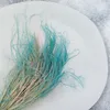 Federgras Getrocknete - (Stipa pennata) - Minze Produktbild-Vorschau 3
