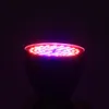 A close-up shot of a plant grow light with multiple LEDs emitting red and purple light. Náhľad obrázku produktu