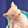 Werner Voß Figurka dekoracyjna Świnka na fotelu, Podgląd zdjęcia produktu 3