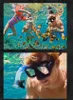 People snorkeling and feeding fish underwater. Anteprima dell’immagine prodotto