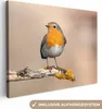 MuchoWow® - Leinwandbilder - Rotkehlchen - Vogel - Zweig - Produktbild-Vorschau 1