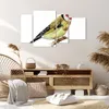 Bild auf Leinwand - Leinwandbild - 4 Teile - Stieglitz Produktbild-Vorschau 7