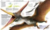 DK Wissen. Dinosaurier Produktbild-Vorschau 6