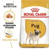 Royal Canin Pug 25 Adult 3kg Produktbild-Vorschau 3