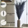 Layba Herbe de la Pampa Décoration en gris Boho Herbe de la Voir les images du produit 4