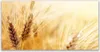 Tulup Leinwand-Bilder 120x60 Wandbild Canvas Kunstdruck Produktbild-Vorschau 1