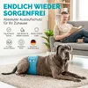 HUND IST KÖNIG Hundewindeln für Rüden [3 Stk], XXL (Taille Produktbild-Vorschau 2