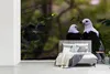 MuchoWow® Fototapete für Wohnzimmer oder Schlafzimmer Produktbild-Vorschau 5