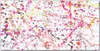 Coloray Küchenrückwand 140x70 Spritzschutz aus Glas - Produktbild-Vorschau 1